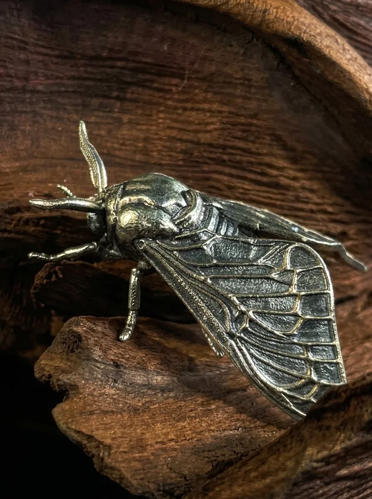 Polilla G