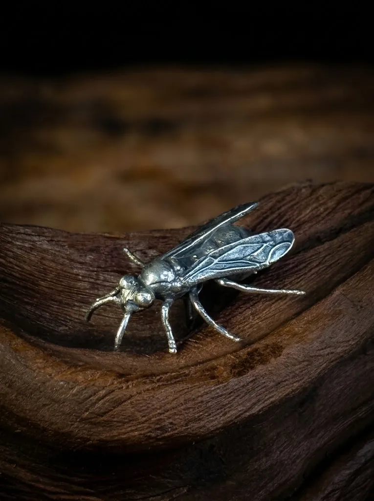 Avispa