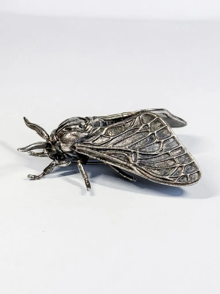 Polilla G
