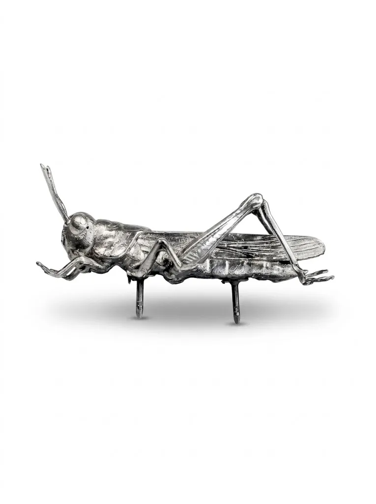 Saltamontes